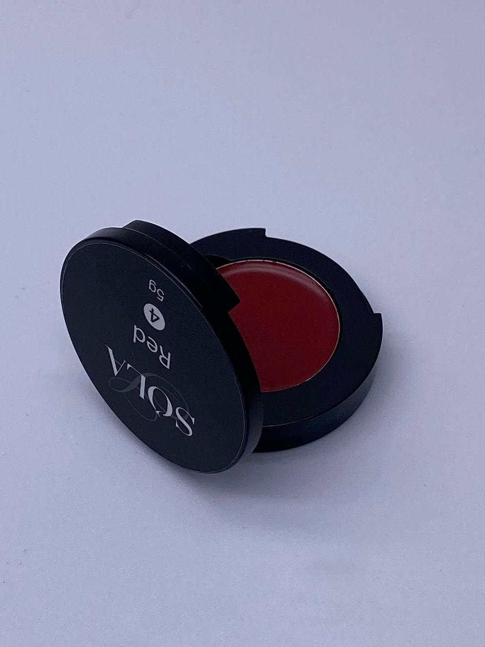 «BF» Гель-лак Palette 05 (Red) цвет 4 SOLAlove, 2гр